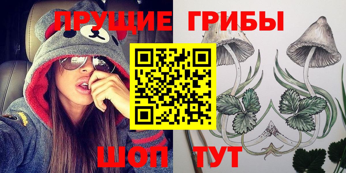 Электрогорск  Псилоцибиновые грибы ЛСД  Вход с VPN 