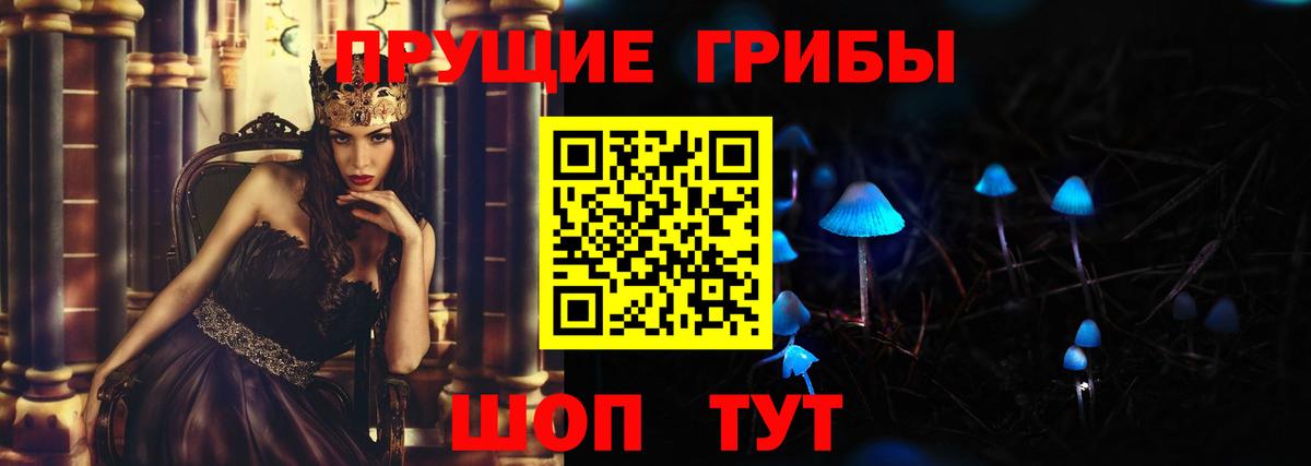 Галлюциногенные грибы Cubensis Электрогорск